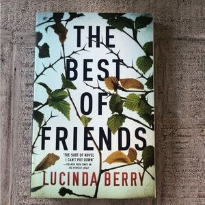 The Best of Friends Book by Lucinda Berry